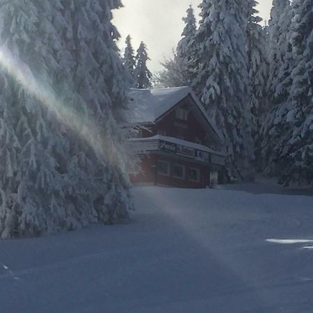 Auerhahn Hotell Feldberg  Exteriör bild