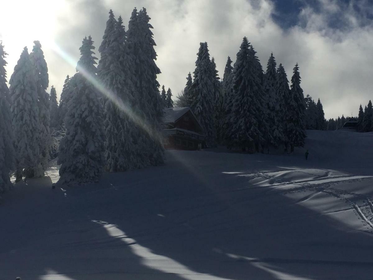 Auerhahn Hotell Feldberg  Exteriör bild