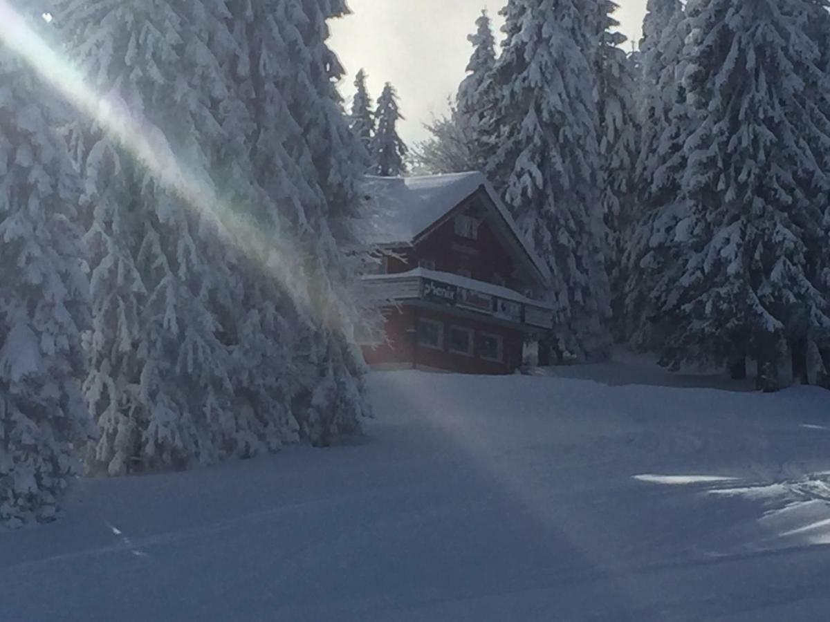 Auerhahn Hotell Feldberg  Exteriör bild