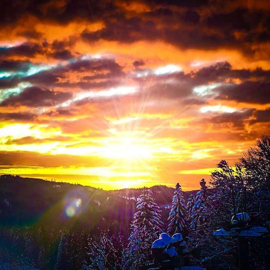 Auerhahn Hotell Feldberg  Exteriör bild